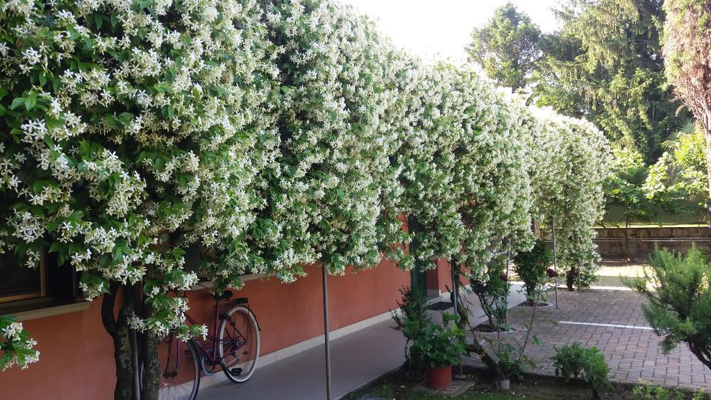 Dreon B&B Portogruaro Kültér fotó