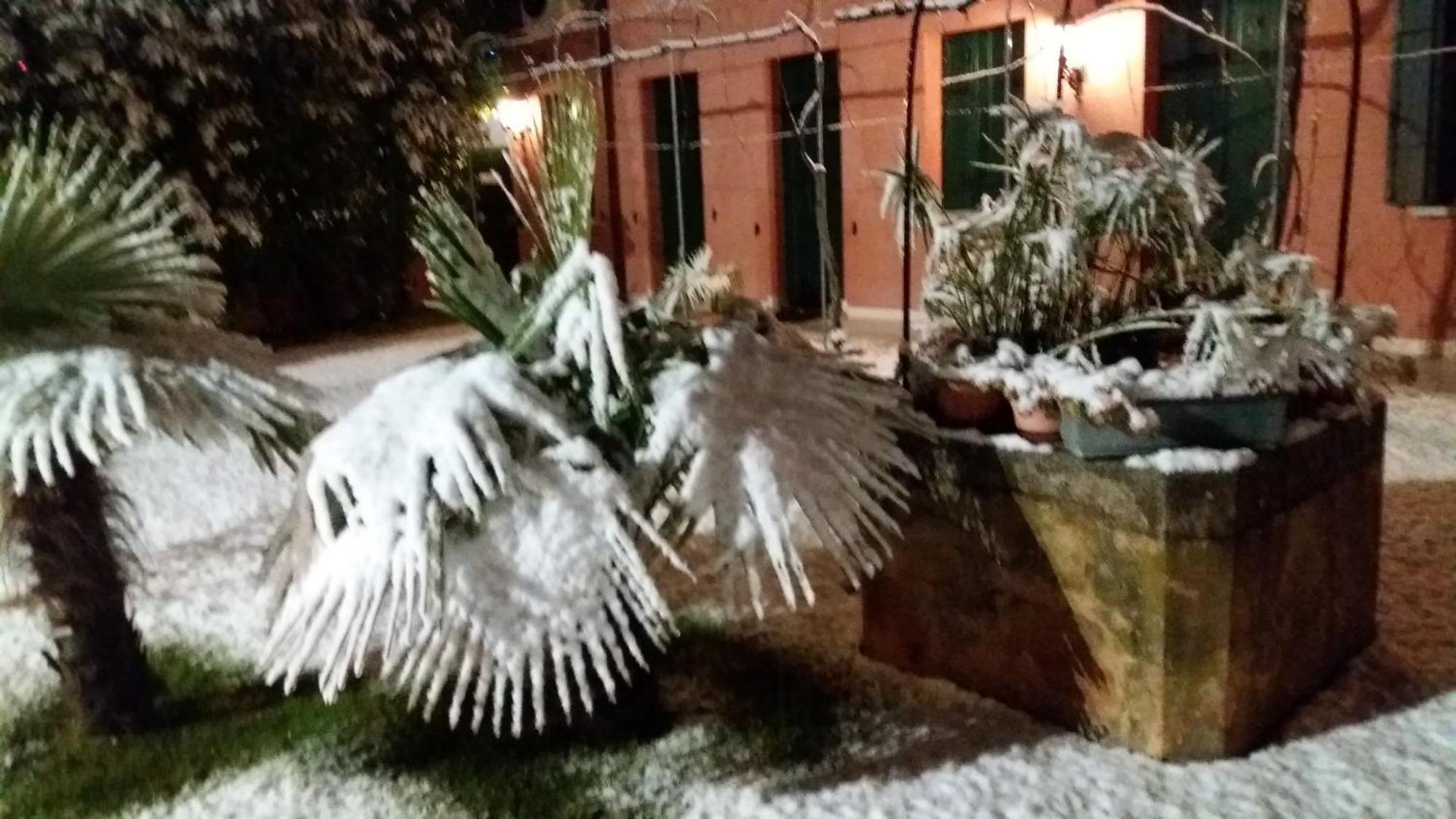 Dreon B&B Portogruaro Kültér fotó